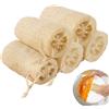 Luffa Spugna 5 Pezzi Naturale Luffa Cetriolo Spugna Luffa Peeling Biologico Luff