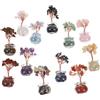 12 piante di cristallo mini albero della fortuna: bonsai feng shui per