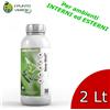 Newpharm INSETTICIDA e ACARICIDA NEW WALL Cipermetrina 92% Tetrametrina 95% Newpharm