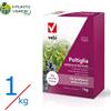 Vebi POLTIGLIA MANICA 20 WG 1 kg fungicida in granuli a base solfato di rame