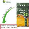 Il Paese Verde CONCIME ORGANICO 4 - 8 - 12 Kg BIOACTIVE contiene TRICODERMA Agribios
