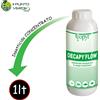Copyr DECAPY FLOW 1 LT DELTAMETRINA Insetticida concentrato professionale