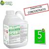 Copyr CIPERTRIN 10 PLUS 1 LT CIPERMETRINA Insetticida concentrato mosche zanzare