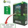 Bottos GIADA 1 KG seme prato professionale per zone OMBREGGIATE tappeto erboso
