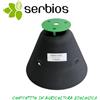 SERBIOS TRAPPOLA A FEROMONI PER LA CATTURA DEL PUNTERUOLO ROSSO DELLE PALME SERBIOS