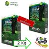 Bottos GIADA 1 - 2 - 4 Kg seme prato professionale per ZONE OMBREGGIATE