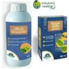 Agribios OLIO DI NEEM PURO 100% e SAPONE MOLLE DI POTASSIO 280 ml / 1 LT insetticida BIO