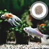 Sabbia Per Acquario Sassolini Ghiaia Del Serbatoio Pesce Rocce D'acquario