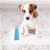 Postazione per addestramento pipì per cani Coni di plastica Vassoio per