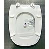 SAPAL SEDILE COPRIWATER WC - POZZI GINORI SQUARE POLIESTERE LEGNO ITA