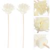 5 Set Bastoni Per Diffusori Diffusore Oli Essenziali Bastoncini Rattan