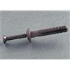 TASSELLO TASSELLI PERCUSSIONE MARRONE TESTA LARGA BOMB. CHIODO NERO 6x60 PZ.50