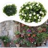 Not specified Palla d'erba di alta qualit�� paesaggio caffetteria artificiale palline fiori ro