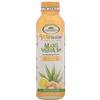 L'Angelica Vitermine Drink Aloe Vera 30% Gusto Zenzero E Limone - 2880 gr