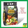 ALFE BLACK HUMUS LOMBRICO ORTO FIORI GIARDINO ALFE 5 LITRI 2,5KG BIOLOGICO AMMENDANTE