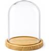 Palucart Campana in Vetro con Base In Legno 23x30 Cm Espositore Teca Trasparente - 7960M