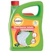 Solabiol Herbiclean PFnPO - Diserbante Biologico ad Azione Disseccante, Alternativa al glifosate, con origine naturale, Ideale per Vialetti, Bordure e Pavimentazioni - 3L