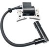 No Pacchetto Bobina di Accensione per Motori Robin EX13 EX17 EX21 Sostituisce7125