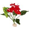 Reptiles-Planet Reptiles Planet Anthurium Pianta su base, 33 cm, Rosso