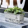 Vaso rettangolare autoirrigante, vaso trasparente per fiori, davanzale,