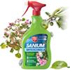 Protect Garden Sanium AL Anticocciniglia PFnPO Insetticida Sistemico Pronto Uso