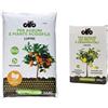 Cifo Lupini per Agrumi e piante Acidofile 2,5 kg & Concime idrosolubile per