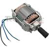 NICE MOTORE ELETTRICO ASSEMBLATO DI RICAMBIO 220V WINGO WGA05