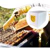 Cassetta di riproduzione per api regine, arnia robusta per