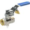RIEGLER 103155-321.08 - Scarpa di sicurezza con serratura, sfiato G 1/4, MS vern., Rp 1 1/2, 1 pezzo