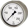 RIEGLER 102056-600 - Manometro robusto, G 1/2 posteriore eccentrico, -1/0,0 bar, Ø 100, 1 pezzo