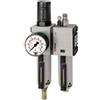 RIEGLER FU 614-M-16 FUTURA - Unità di manutenzione in 2 pezzi con contenitore in metallo, tubo e manometro, completamente automatico, dimensione 2, 0,5-16 bar, G 1/2