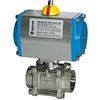 Riegler - Valvola a sfera in acciaio inox, Cilindro A Doppio Effetto. Peso RP 1/2 DN 15