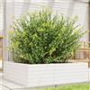vidaXL Fioriera da Giardino Bianca 80x80x23 cm Legno Massello di Pino