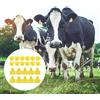 100 Pcs Marchio Auricolare Di Mucca Etichette Auricolari Per Pecore