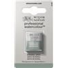Winsor & Newton W&N Professional Watercolor 1/2 Godet - Acquerello extrafine per artisti, colori vivaci di altissima qualità, luminosità e brillantezza, resistenti alla luce - Grigio Minerale