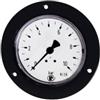 RIEGLER 101889-319/50 Standardmano, anello anteriore nero, G 1/4 posteriore, -1/0,0 bar, Ø 50, 1 pezzo