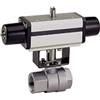 RIEGLER 103590-351.521 valvola a sfera in acciaio inox, pneumat. Attuatore semplice, Rp 3/4, 1 pezzo
