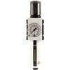 RIEGLER FU 6110-M-1 FUTURA - Regolatore di filtro con contenitore in metallo, tubo e manometro semiautomatico, dimensione 4, 0,1-1 bar, G 3/4