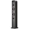NGS Speaker a Torre Cassa Musica Sky Charm Pro BT USB Radio FM AUX 50W Nero