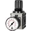 RIEGLER 142402-FUM 7204 - Regolatore di pressione, DV FUTURA-mini, Standardmano, G 1/4, 0,1-4 bar, 1 pezzo