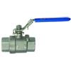 RIEGLER 135358-397.08 - Valvola a sfera in acciaio inox, 2 pezzi, lunghezza secondo DIN 3202-M3, G 2, 1 pezzo