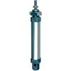RIEGLER 105779-1.DM.20025 - Cilindro rotondo, a doppia azione, magnete, ø 20, o.D, hub 25, G 1/8, 1 pz