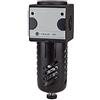RIEGLER 100536-FM 33 S - Microfiltro multifix con contenitore per PC, cestino di protezione, BG 3, G 1/2, 1 pezzo