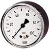 RIEGLER 102550-5823 - Manometro a molla a capsula, G 1/4 centrale posteriore, 0-100 mbar, Ø 63, 1 pz