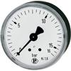 RIEGLER 101820-200 - Manometro standard, in lamiera d'acciaio, G 1/4 posteriore, -1/0,0 bar, Ø 50, 1 pezzo