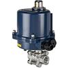 RIEGLER 103713-350.4811R - Rubinetto a sfera a 2 vie in acciaio INOX, azionamento elettrico, 24 V DC, Rp 3/4, 1 pezzo