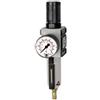 RIEGLER FU 823-M-1 FUTURA - Regolatore di filtro con contenitore in metallo, tubo e manometro, completamente automatico, dimensioni 2, 0,1-1 bar, G 3/8