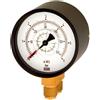 RIEGLER 102580-1203 - Mano differenziale, 2 x G 1/2 inferiore, parallelo, 0-2,5 bar, Ø 100, 1 pezzo