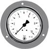 RIEGLER 101859-300/50 Standardmano, anello anteriore verchr, G 1/4 posteriore, -1/0,0 bar, Ø 50, 1 pezzo