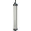 RIEGLER 106217-5.DMD.63025 - Cilindro standard a doppia azione, magnete, diametro pistone 63, hub 25, G 3/8, 1 pz